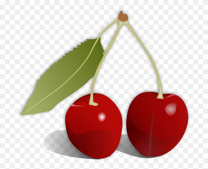 703x624 Cherries Fruit Cherry, Plant, Food, Lamp HD PNG Download