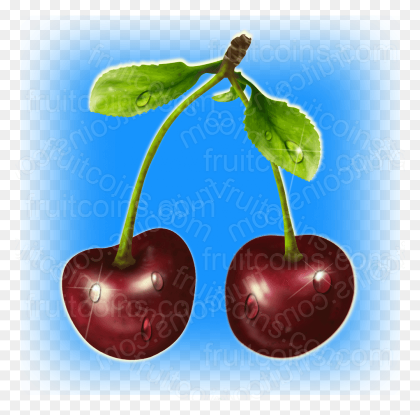 1001x988 Cherry, Plant, Fruit, Food HD PNG Download