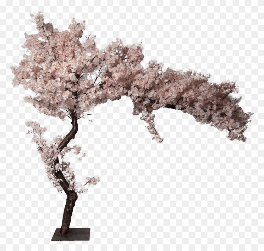 1598x1519 Cherry Blossom Artificial Tree 0 Cherry Blossom, Plant, Flower, Blossom HD PNG Download