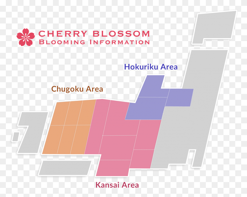1986x1558 Cherry Blossom Blooming Information Web Design, Diagram, Building, Text Descargar Hd Png