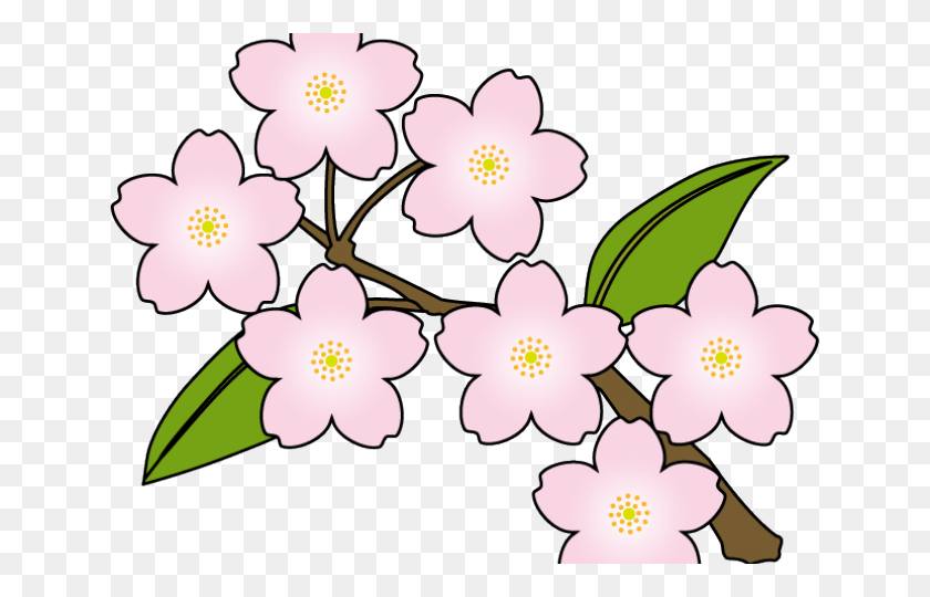 640x480 Cherry Blossom Clipart Vector Sakura Clipart, Plant, Flower, Blossom HD PNG Download
