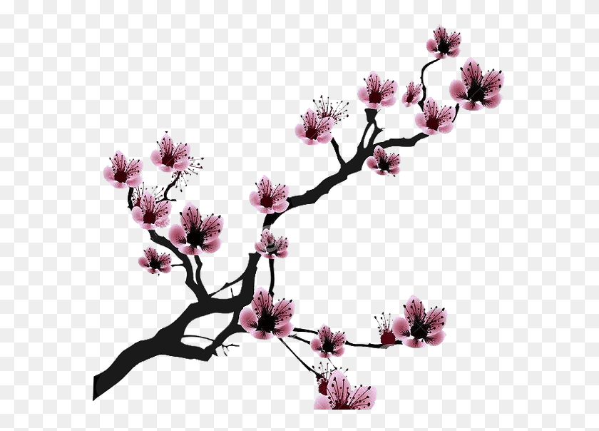 581x544 Cherry Blossom Drawing Clip Art Cherry Blossom Clip Art Black And White, Flower, Plant, Blossom HD PNG Download