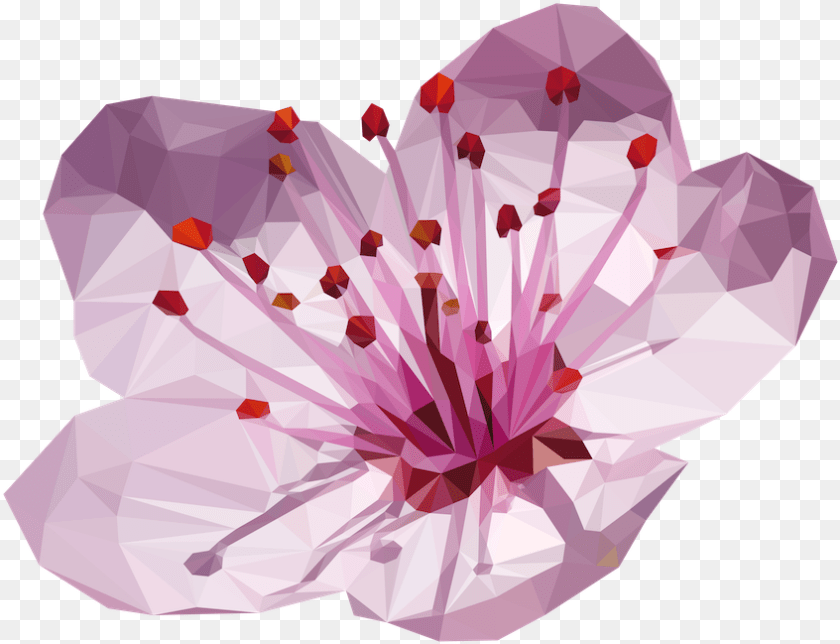 847x649 Cherry Blossom Flower Made Up Of 932 Triangles Adobe Plum Blossom Japanese Flowers, Plant, Cherry Blossom, Petal, Person Sticker PNG