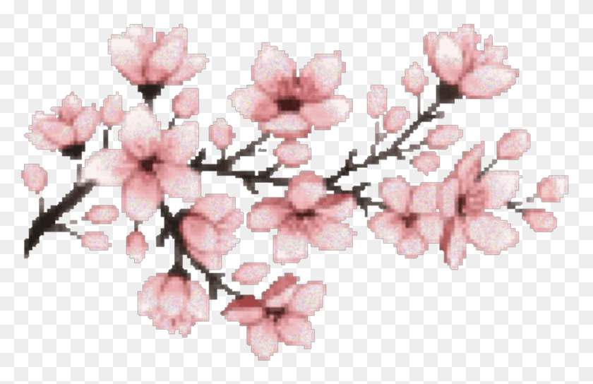 1024x636 Cherry Blossom Sakura Aesthetic Tumblr Aesthetictumblr Cherry Blossom Pixel Gif, Plant, Flower, Blossom HD PNG Download