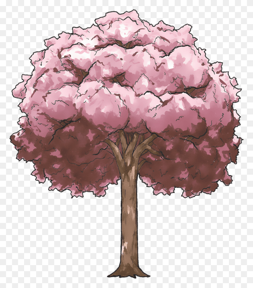 1121x1288 Cherry Blossom Tree Cherry Blossom Anime Tree Drawing, Plant, Bush, Vegetation HD PNG Download