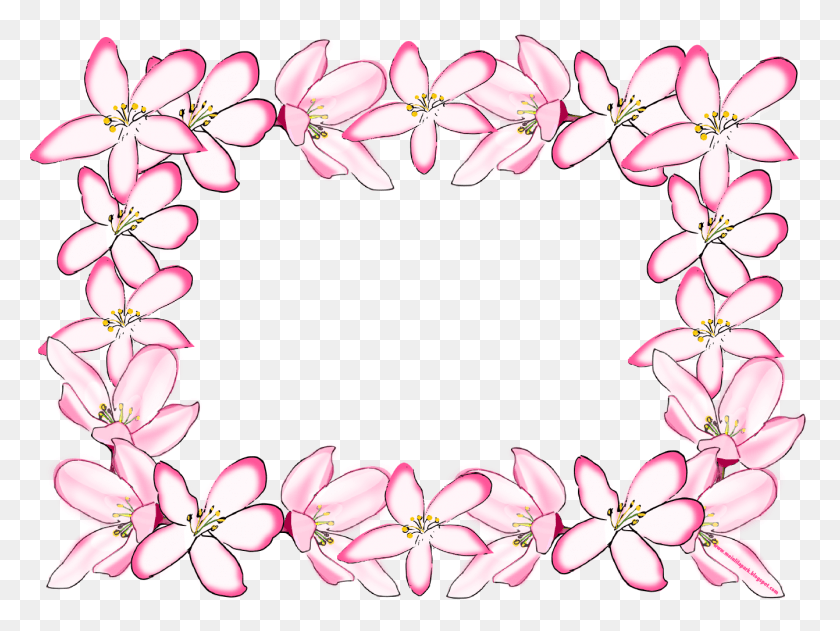 1341x982 Cherry Blossoms Frame Of Cherry Blossom, Plant, Petal, Flower HD PNG Download