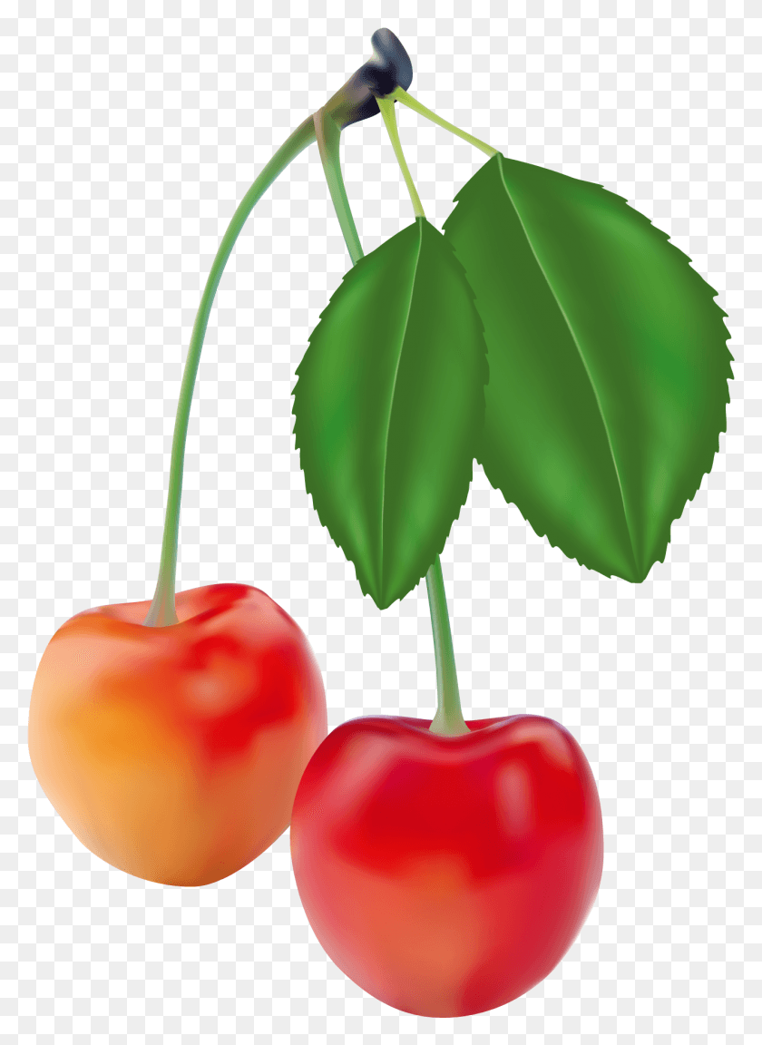 1325x1855 Cherry Clip Blanco Y Negro Arándano Enorme Freebie Juego De 5 Frutas, Planta, Fruta, Alimentos Hd Png