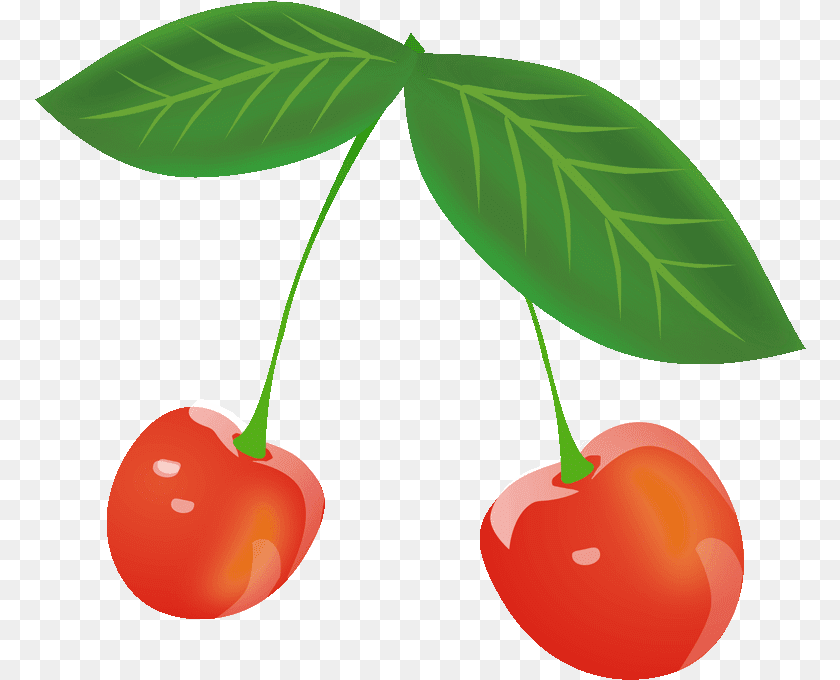 Cherry Clipart Cherry, Food, Fruit, Plant, Produce Sticker PNG