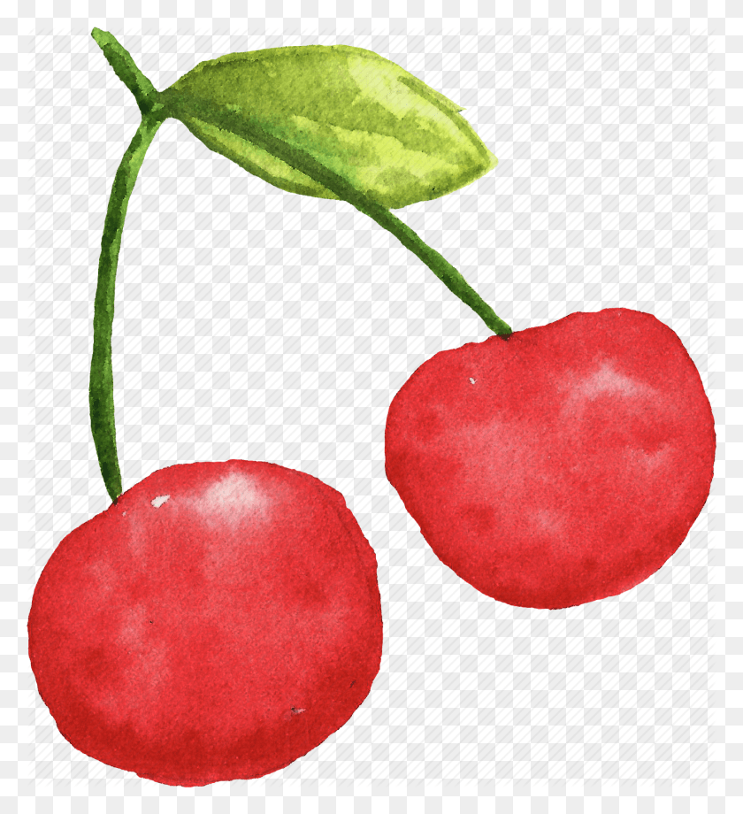 1416x1562 Cherry Cuisine Food Fruit Fruits Watercolor Watercolors Watercolor Cherry, Plant, Apple HD PNG Download