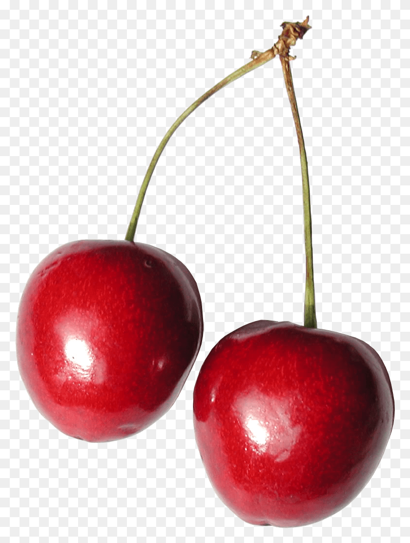 779x1053 Cherry Duo Shiny Cherry, Planta, Manzana, Fruta Hd Png