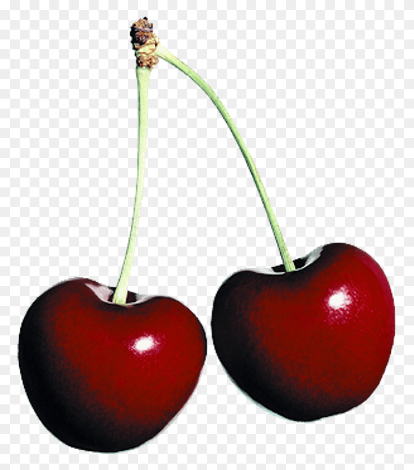 771x893 Cherry Fruit Food Red 2 Cherries, Plant HD PNG Download