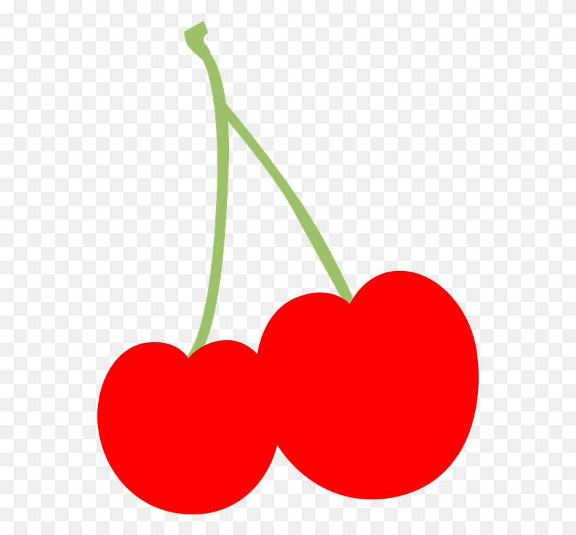 556x720 Cherry Fruit Fresh Sweet Two Buah Ceri Kartun, Plant, Food, Shovel HD PNG Download