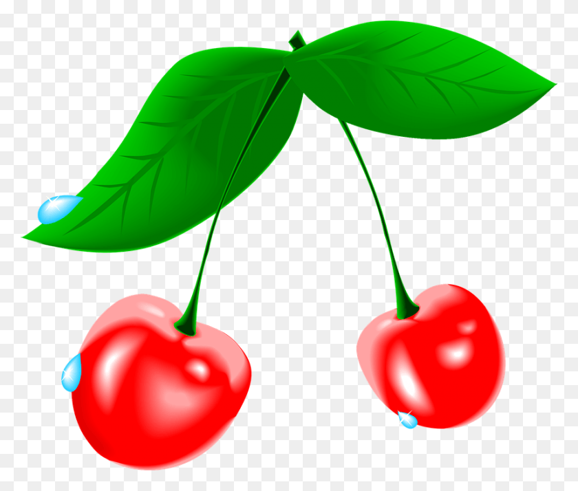858x720 Cherry Fruit Waterdrops Fresh Cherry Clip Art, Plant, Food HD PNG Download