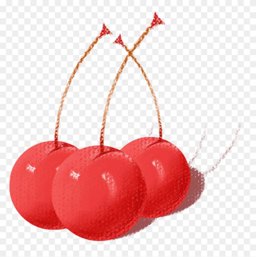 1543x1545 Cherry Hand Drawn Cute Cartoon And Psd Cherry, Plant, Fruit, Food HD PNG Download