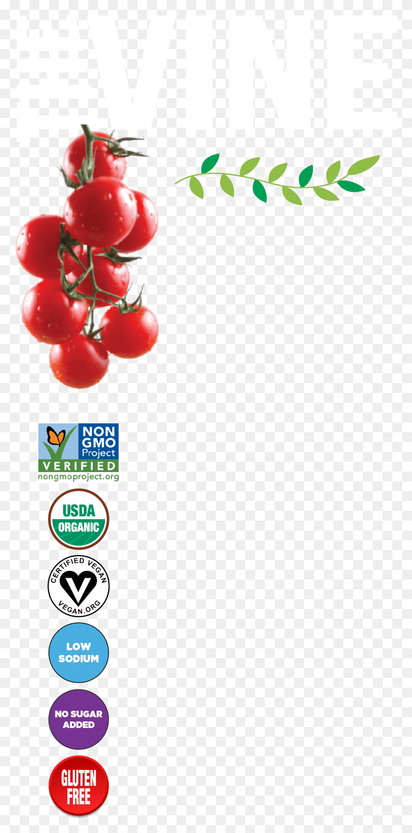 1107x2323 Cherry Tomatoes, Plant, Fruit, Food HD PNG Download