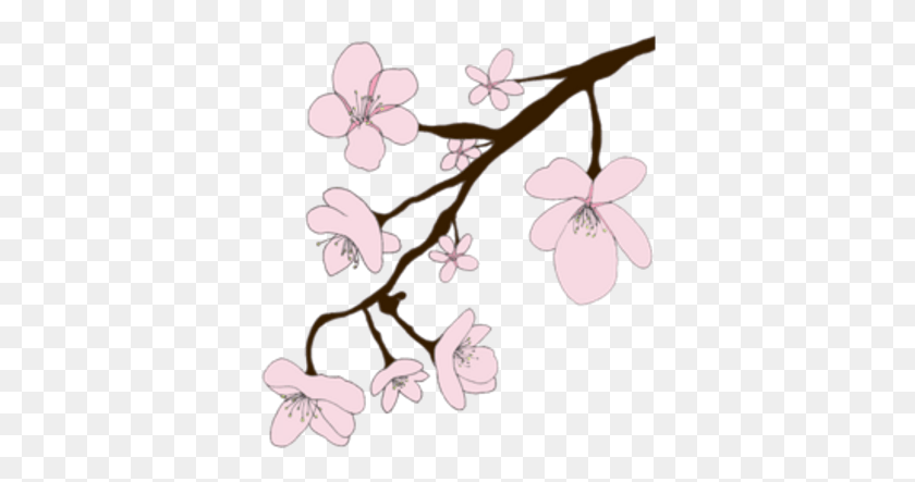 364x383 Cherryblossom Sticker Sakura, Plant, Flower, Blossom HD PNG Download