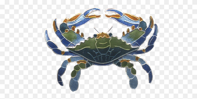 513x363 Chesapeake Blue Crab, Crab, Seafood, Sea Life HD PNG Download