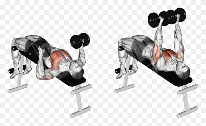 919x533 Chest Dumbbell Workout Alternating Dumbbell Press Muscles Worked, Working Out, Sport, Person HD PNG Download