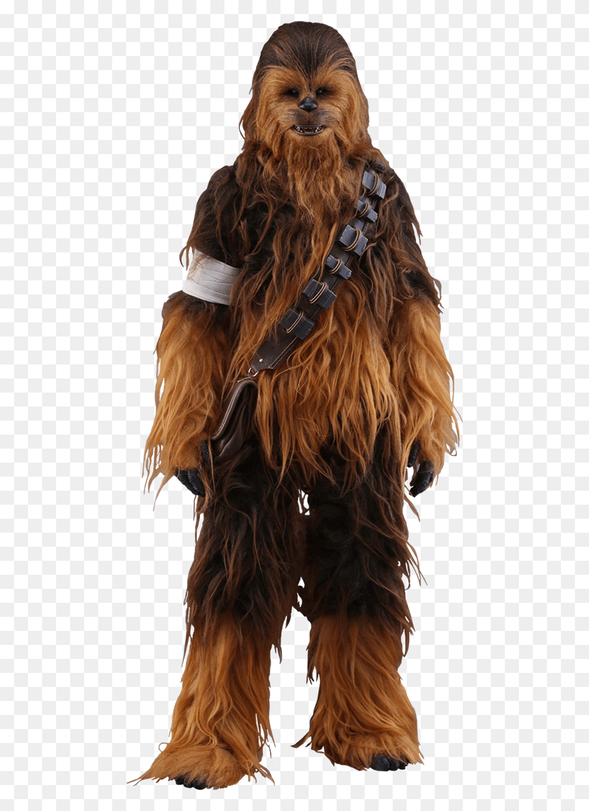 480x1097 Chewbacca Han Solo Chewbacca Figuras De Acción, Cabello, Ropa, Vestimenta Hd Png