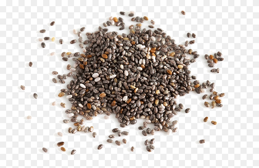 728x486 Chia Seeds Free Image Chia, Plant, Produce, Food HD PNG Download
