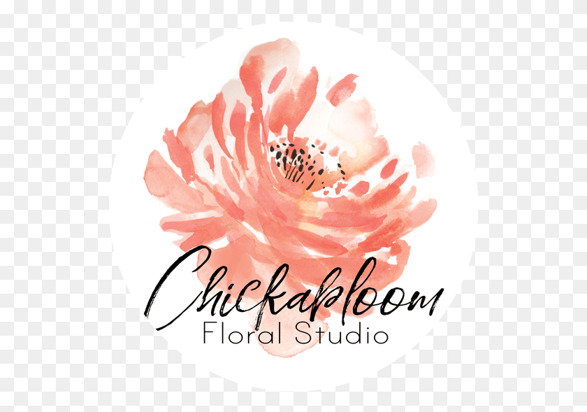 529x529 Цветочная Студия Chickabloom, Растение, Цветок, Цветение Hd Png Скачать