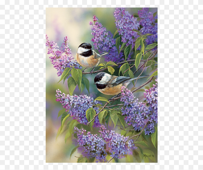 464x641 Chickadees And Lilacs Beautiful Birds, Bird, Animal, Plant HD PNG Download