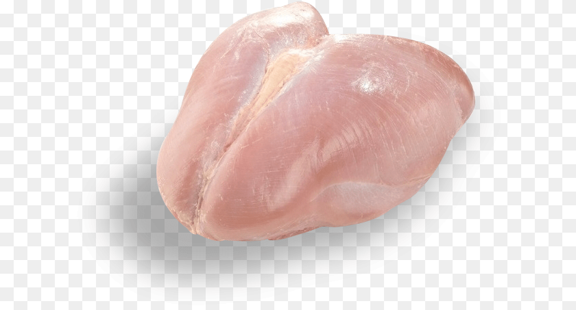 Chicken Breast, Animal, Sea Life, Seashell, Mineral Transparent PNG