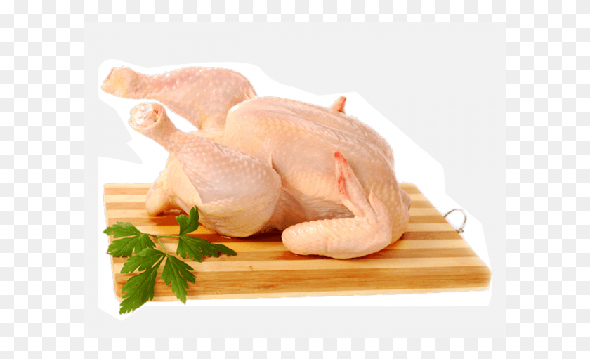 601x451 Chicken Broiler With Skin Raw Whole Chicken, Bird, Animal, Poultry HD PNG Download