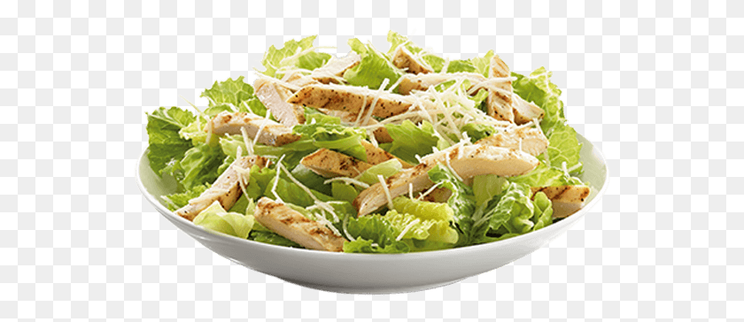 540x304 Chicken Caesar Salad Caesar Salad, Plant, Food, Lunch HD PNG Download