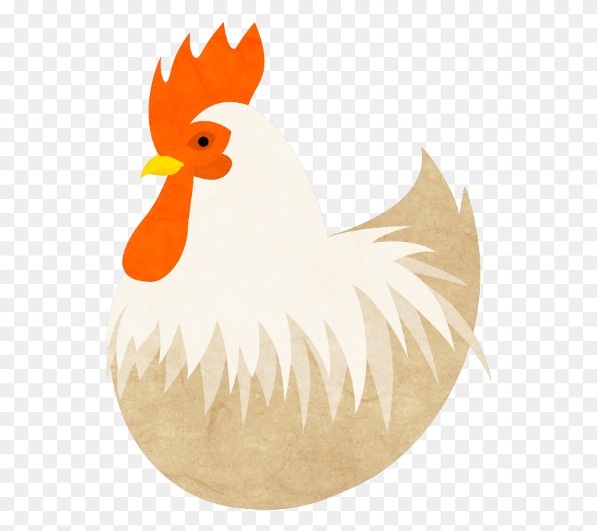 544x688 Chicken Clip Art Chicken Logo Chicken Illustration Chicken Illustrator, Bird, Animal, Poultry HD PNG Download
