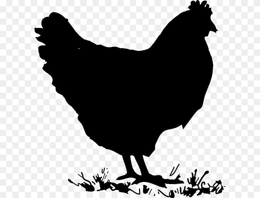 Chicken Clipart Black And White, Animal, Bird, Fowl, Hen Transparent PNG