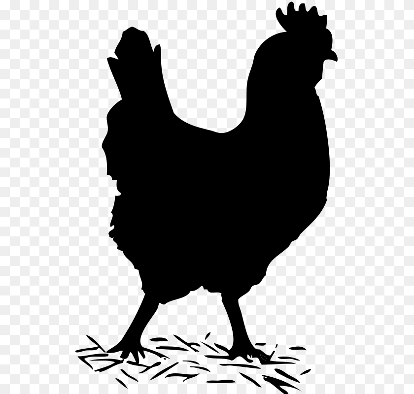 535x800 Chicken Clipart Shadow, Gray PNG