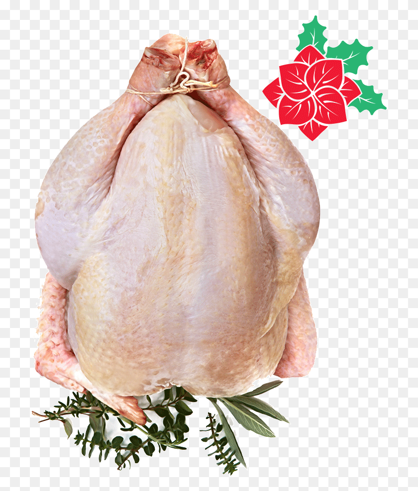 715x928 Chicken Delight Turkey Meat, Plant, Bird, Animal HD PNG Download