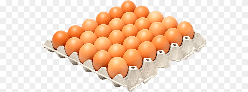 Chicken Egg 1 Tray, Food Transparent PNG