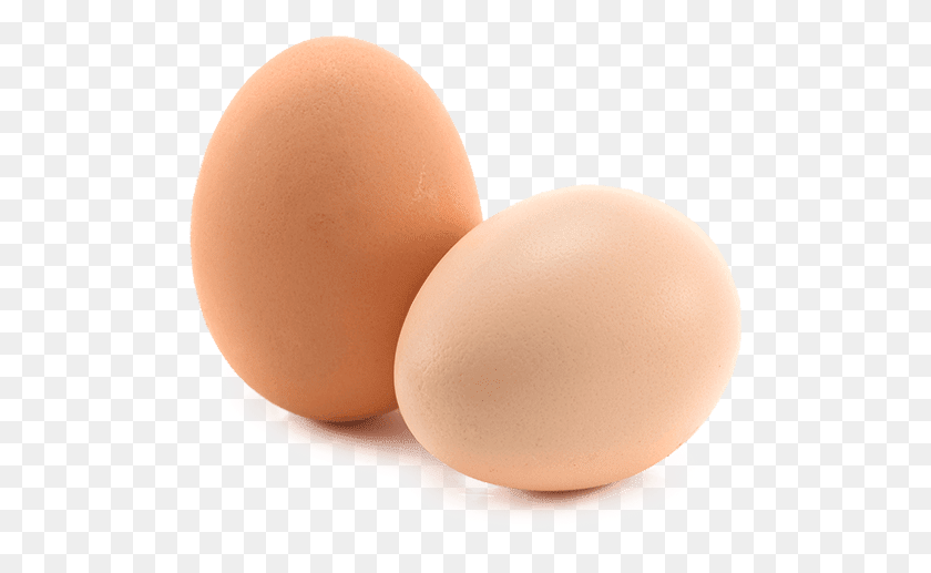 501x457 Chicken Egg Food Egg White Two Eggs, Easter Egg HD PNG Download