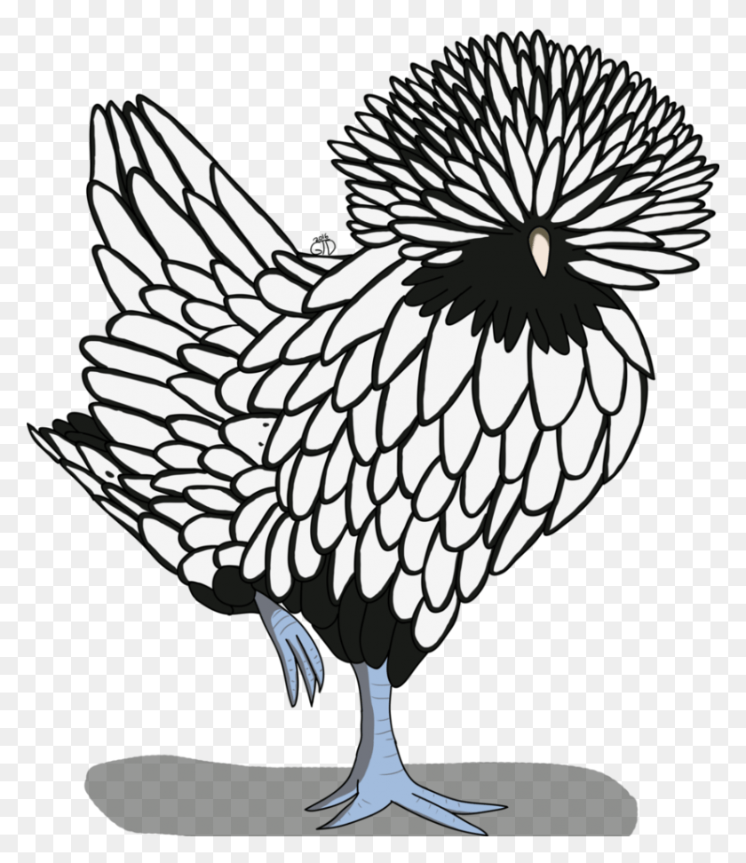 826x966 Chicken Line Drawing At Getdrawings Polish Chicken Drawing, Bird, Animal, Symbol HD PNG Download