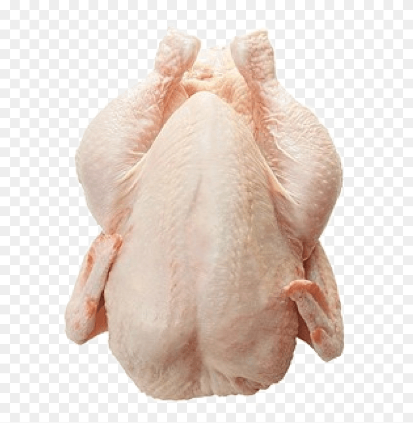 645x801 Chicken Meat Image Frozen Chicken, Animal, Bird, Poultry HD PNG Download