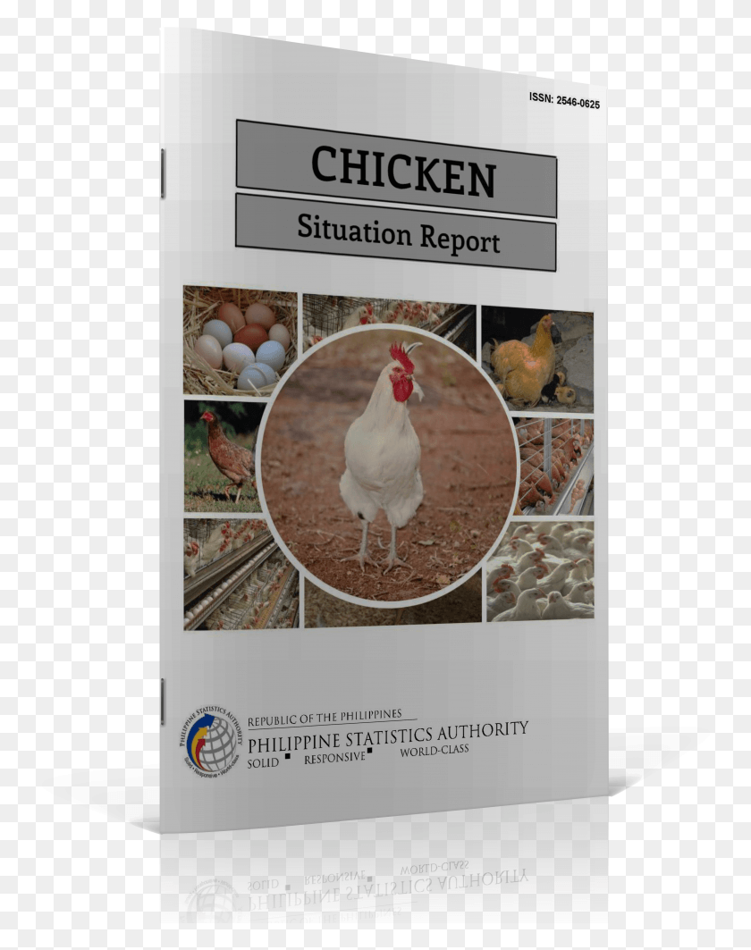 4048x5208 Chicken Situation Report Rooster HD PNG Download