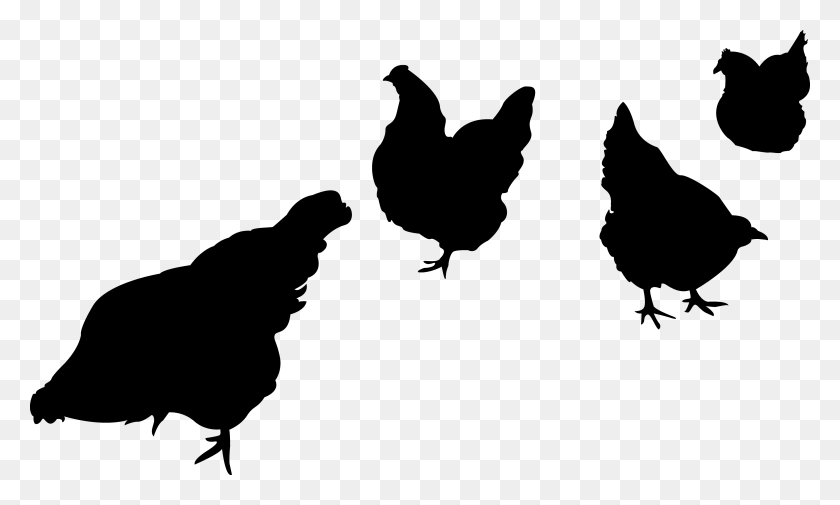 3639x2080 Chickensilhouettes Farm Animal Silhouette, Gray, World Of Warcraft HD PNG Download