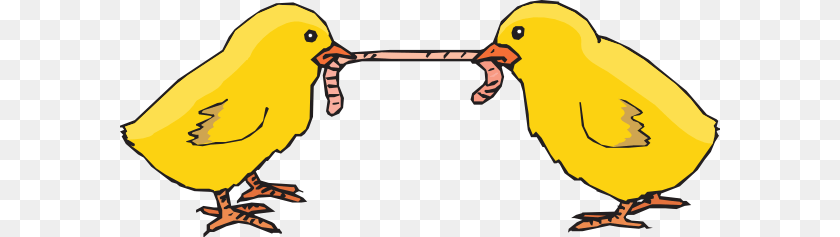 600x237 Chicks Fighting For A Worm Clip Arts For Web, Animal, Bird, Canary Sticker PNG