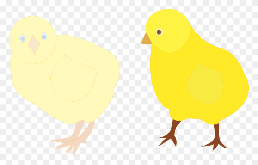 1280x784 Chicks Figure Color Flightless Bird, Animal, Poultry, Fowl HD PNG Download