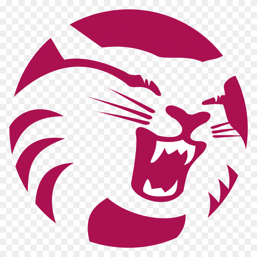 1997x1997 Chico State Wildcat, Teeth, Mouth, Lip HD PNG Download