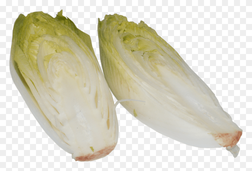 960x628 Chicory A Vegetable Vegetables Plant Cabbage Endive, Food, Produce, Bird HD PNG Download