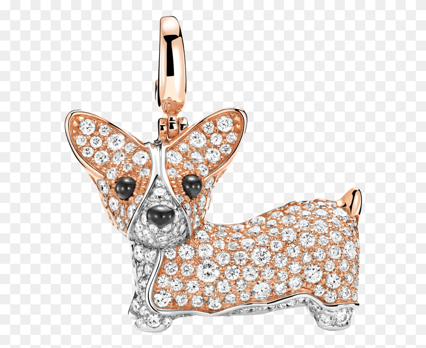 588x626 Chihuahua Png / Colgante Png