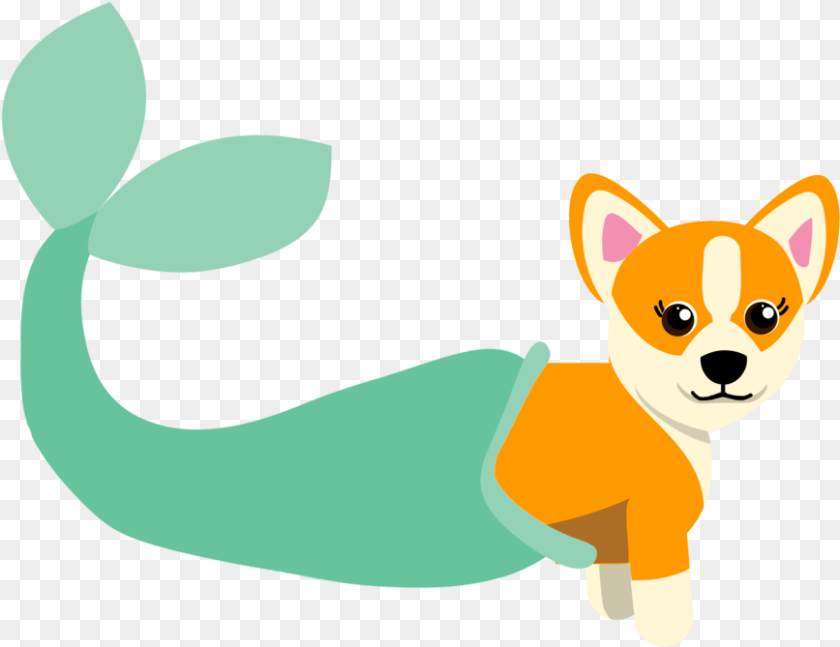 Chihuahua, Animal, Pet, Bear, Cat Transparent PNG