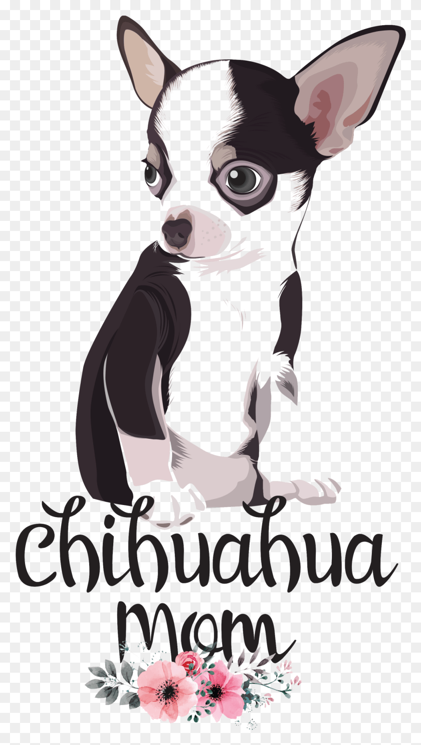 1365x2492 Chihuahua Mom, Mammal, Animal, Wildlife HD PNG Download