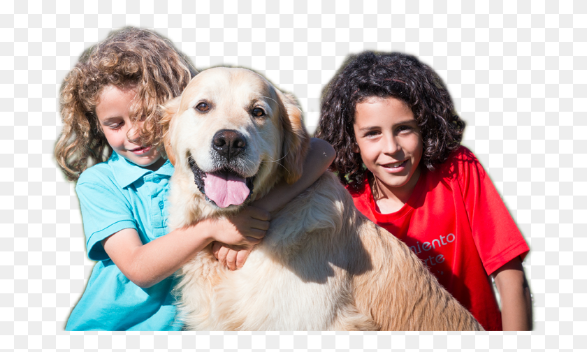 704x444 Children With Retriever Goldern Companion Dog, Person, Human, Golden Retriever HD PNG Download