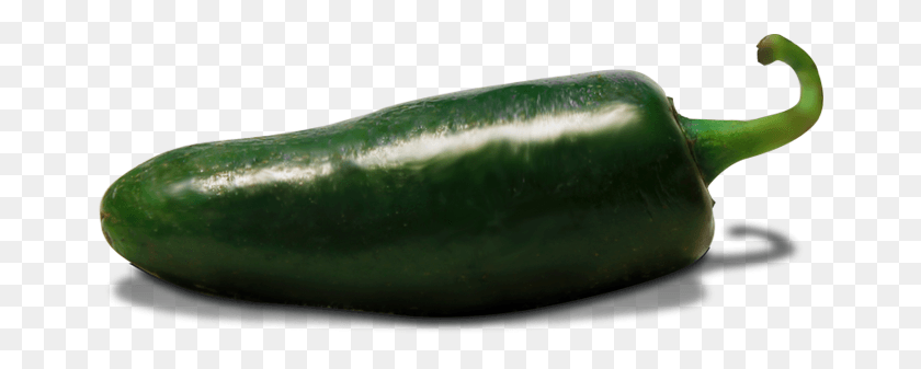 662x277 Chile Picante Sus Frutos Son Firmes Aromticos De Zucchini, Cucumber, Vegetable, Plant HD PNG Download