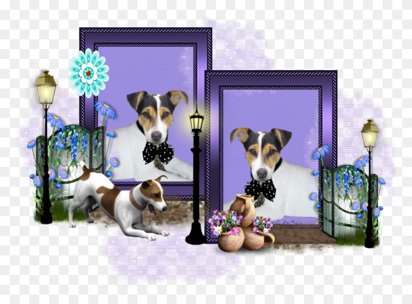 1216x872 Fox Terrier Chileno, Perro, Mascota, Canino Hd Png