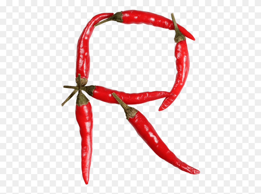 449x564 Chilli Pepper Font Bird39s Eye Chili, Plant, Vegetable, Food HD PNG Download